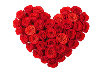A beautiful heart shape arrangement made entirely of vibrant red roses, isolated on transparent background for romantic and love concepts