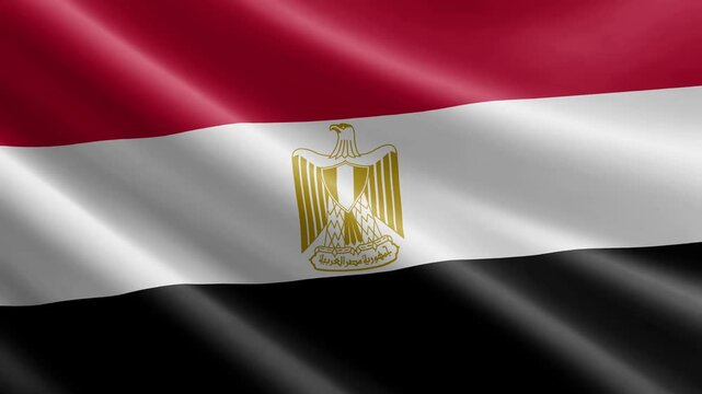 Egypt Waving Flag Animation with Realistic Silk Texture Loop