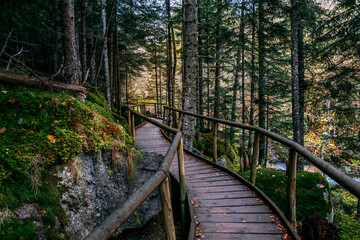 Obraz premium Wooden Boardwalk Path Through Lush Green Forest With Mossy Rocks in Sant Maurici