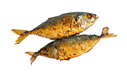 Two golden-brown, cooked fish, overlapping on a black background