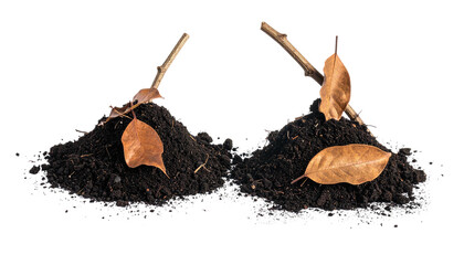 Two mounds of dark soil with small branches and fallen leaves on black