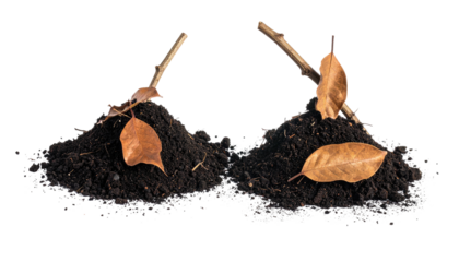 Two mounds of dark soil with small branches and fallen leaves on black