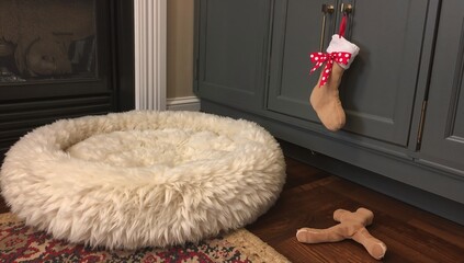 Dog bed with stocking and toy
