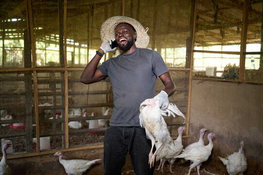 Young Nigerian male poultry farmer smiling while talking on a mobile phone and holding a white turkey inside an indoor farm, wearing gloves, a straw hat, and casual work clothes with other turkeys beh