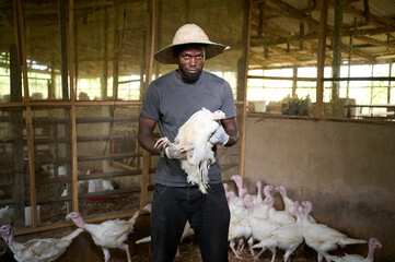 Young African male poultry farmer standing inside an indoor turkey farm, holding a white turkey with gloved hands while wearing a straw hat and casual work clothes, with other turkeys visible in the b