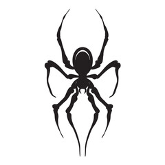 spider vintage drawing vector illustration