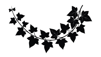 A delicate black silhouette of trailing ivy leaves and winding stem © Rokiya Aktar