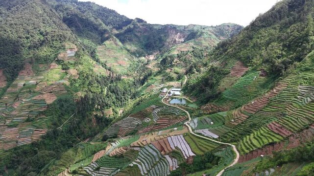 Aerial view, valley or terraced plantation in the Dieng region which is an active volcanic plateau area.