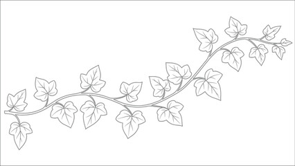 A delicate sketch of an ivy vine with detailed leaves and curving stem © Rokiya Aktar