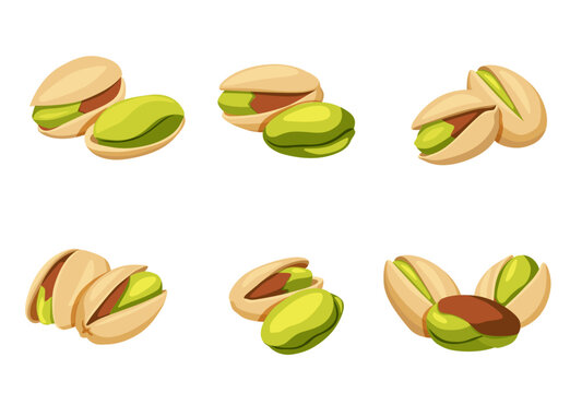 set of Pistachio nuts isolated on a white background. Vector illustration cartoon 