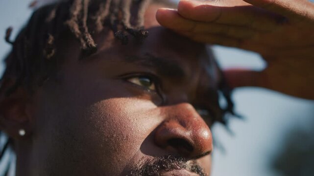 Diligent Sentinel Maintains Sharp Focus On Faroff Landscape Surroundings, Alert And Focused Guardian Keeps Close Watch On Distant Horizon And Nearby Terrain With Utmost Attentiveness