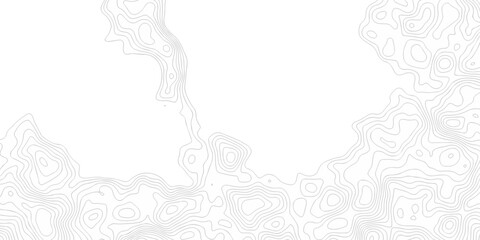 White wave paper curved reliefs abstract background. The topographic map contour in lines isolated. Abstract white topographic map background with lines. Background of the topography map.