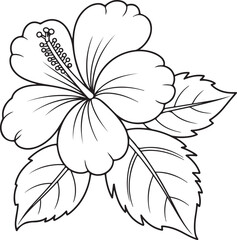 Black and white hibiscus flower