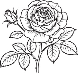 Elegant rose illustration
