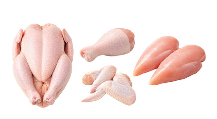 Raw Chicken Parts Set with Whole Chicken, Drumsticks, Wings, and Chicken Breasts