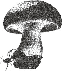 Mushroom retro y2k stipple design trippy halftone brutalist urban vector png with clear background, fungi 2000s photocopy grunge tattoo gen z effect