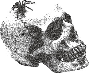 Skull y2k retro stipple art skeleton brutalist halftone vector png transparent, bone 2000s photocopy effect tattoo aesthetic