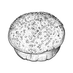 A hand-drawn sketch of a hamburger bread bun. Black and white vector illustration of a burgers bun sprinkled with sesame seeds on top. The freshly bakery for breakfast. Menu design element