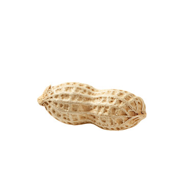 Single peanut in shell isolated