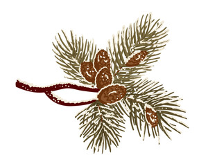 Hand drawn fir tree branch with pine cone and ribbon in decorative winter style isolated on white background. The image represents Christmas, holiday decoration, winter nature and seasonal celebration