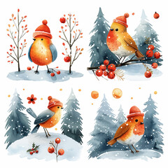 Charming Christmas Robins Winter Scene Vector Illustration Collection