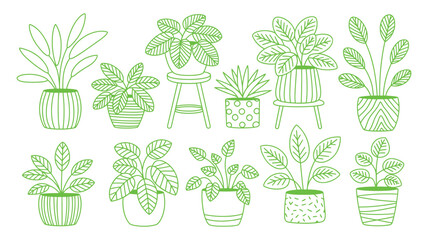 A collection of various potted plants drawn in a simple green line art style