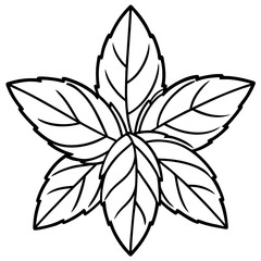 Mint line art vector