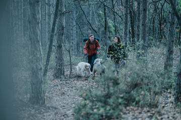 Two women hike with dogs on a forest trail, enjoying outdoors and nature.
