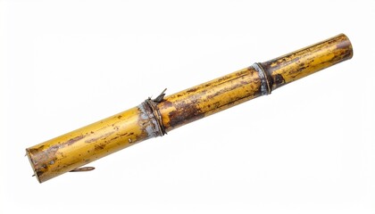 Single sugarcane segment upright on white background, showing natural texture and aged nodes.