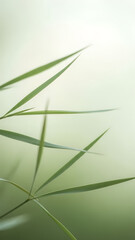 Fresh green grass close up on sunny day background on blur background. Vertical design of natural growth and renewal zen concept for organic, garden, outdoor, spring.
