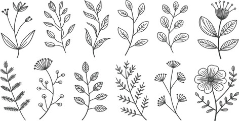 Hand drawn floral and leaf branch set, decorative botanical line art sketches for organic design