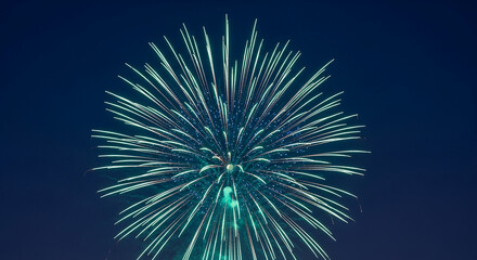 Fototapeta premium Image of a burst firework against a dark blue night sky, showcasing explosive celebration, event, and festive concepts, perfect for holiday themes