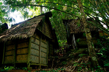 Traditional Wooden Rice Granaries (Leuit) of the Baduy Tribe in the Lush Jungles of Banten, Indonesia