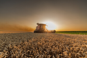 Combine harvester in field wheat