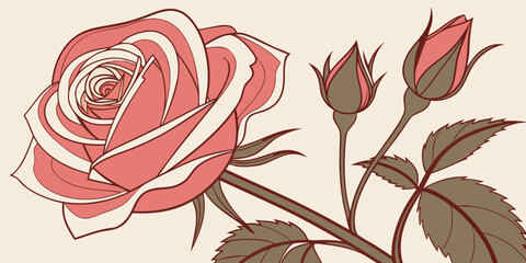 Illustrated rose with buds