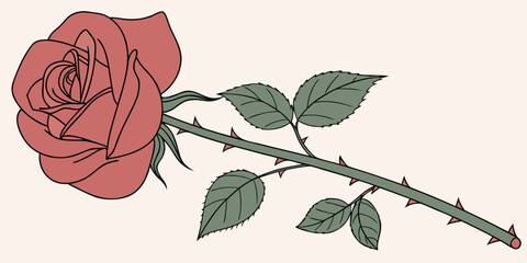 Single red rose with thorny stem