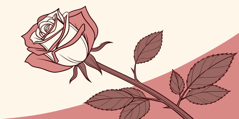 Single rose on a stem