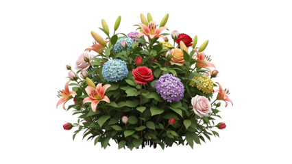 Colorful bouquet of flowers on transparent background