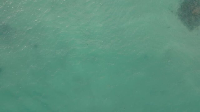Aerial view of gentle waves meeting the sandy beach, creating a mesmerizing display of textures and tones, Diani, Kwale County, Kenya.