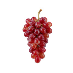 Fototapeta premium 新鮮な赤ぶどうの房