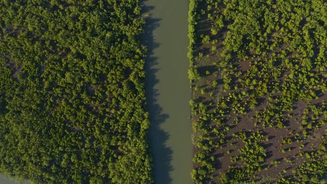 Aerial view of a meandering river cutting through dense green trees, creating a beautiful contrast between water and vegetation, Maputo, Cidade de Maputo, Mozambique.