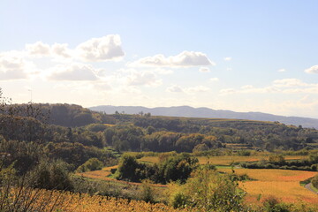 Golden Autumn in Vineyards near Kenzingen