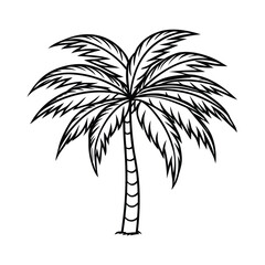 Black and White Line Art Illustration of a Palm Tree.