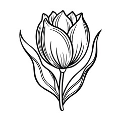 Elegant Black and White Tulip Flower Illustration.