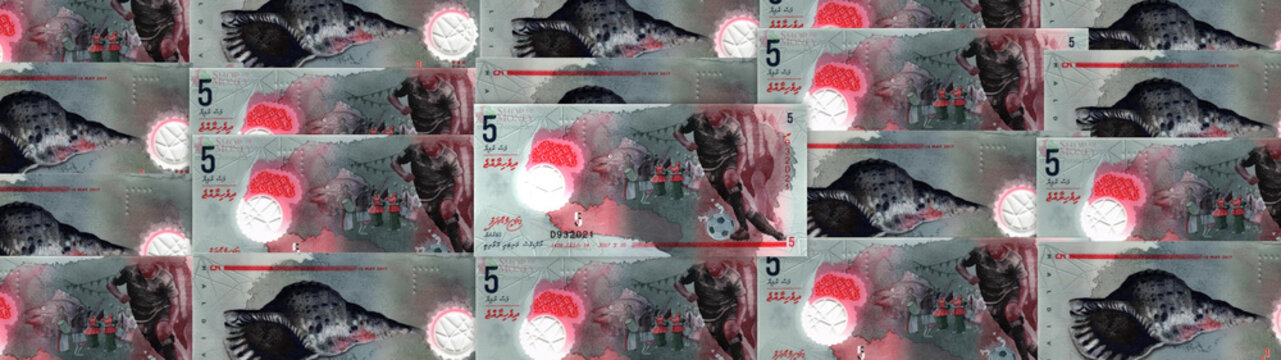 Maldivian 5 rufiyaa banknotes displaying culture economy finance