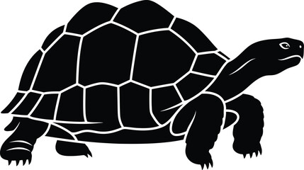 Simple black silhouette of a turtle walking on a white background