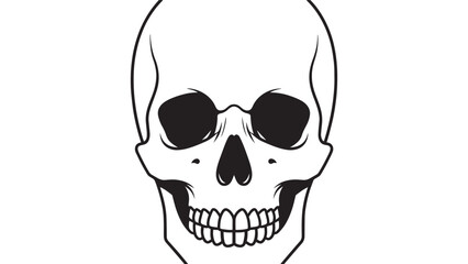 Fototapeta premium Monochrome Skull Illustration: Detailed Lineart of Human Cranium, Teeth, and Jawbone in Vector Design.