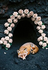 Fox Beneath the Moon