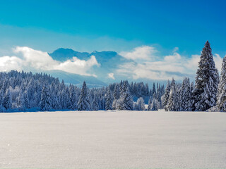 Spectacular winter scenery in the Bavarian Alps with snow-covered peaks and pristine alpine wilderness.