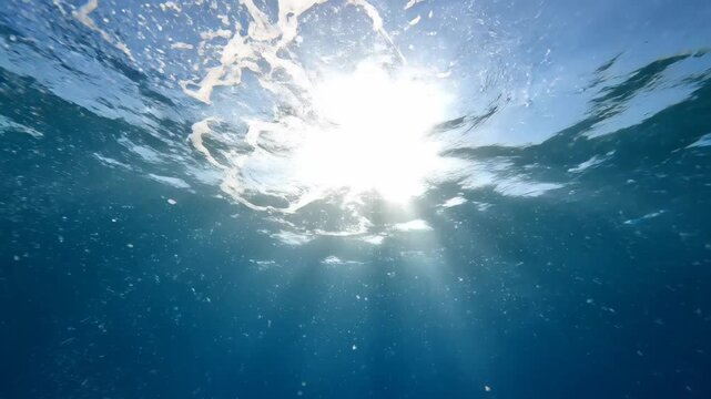 Sunlight beams piercing ocean water. Underwater rays illuminating blue depths. Rising bubbles in sunlit sea creating ethereal aquatic effect.